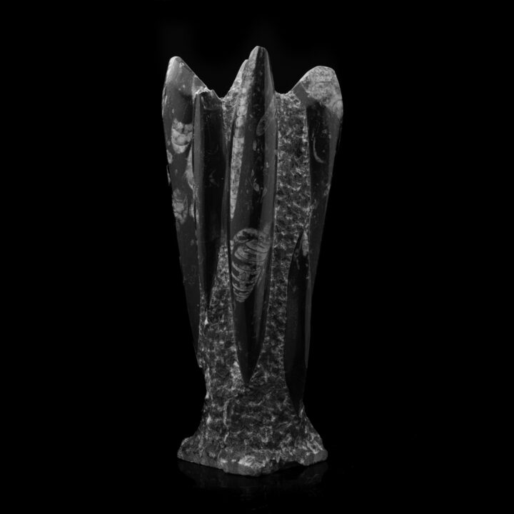 Belemnite Statue // 7.54 Lb.