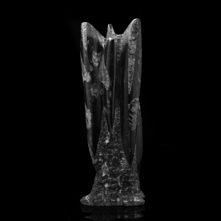 Belemnite Statue // 7.54 Lb. - Image 2