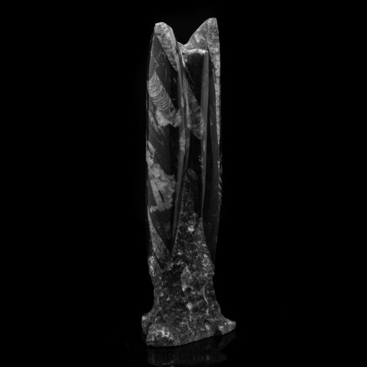 Belemnite Statue // 7.54 Lb. - Image 3