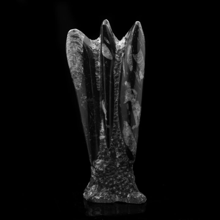 Belemnite Statue // 7.54 Lb. - Image 4