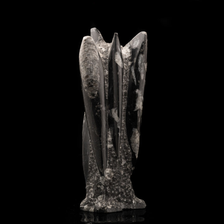 Belemnite Statue // 7.54 Lb. - Image 5