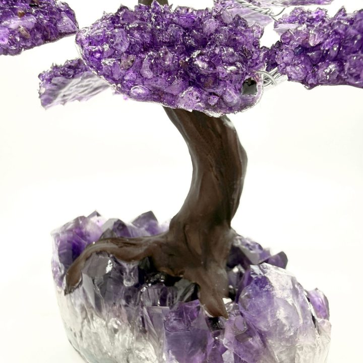 Close-up of amethyst gemstone tree trunk mounted on natural amethyst base