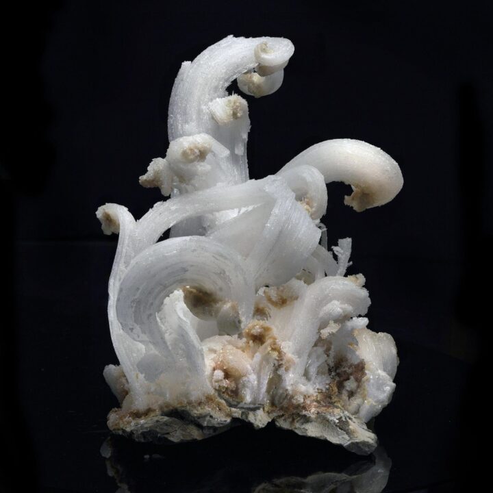 Ram Horns Selenite