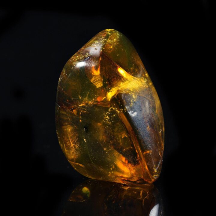 Mexican Amber with Leaf Inclusion – 26g - Image 2