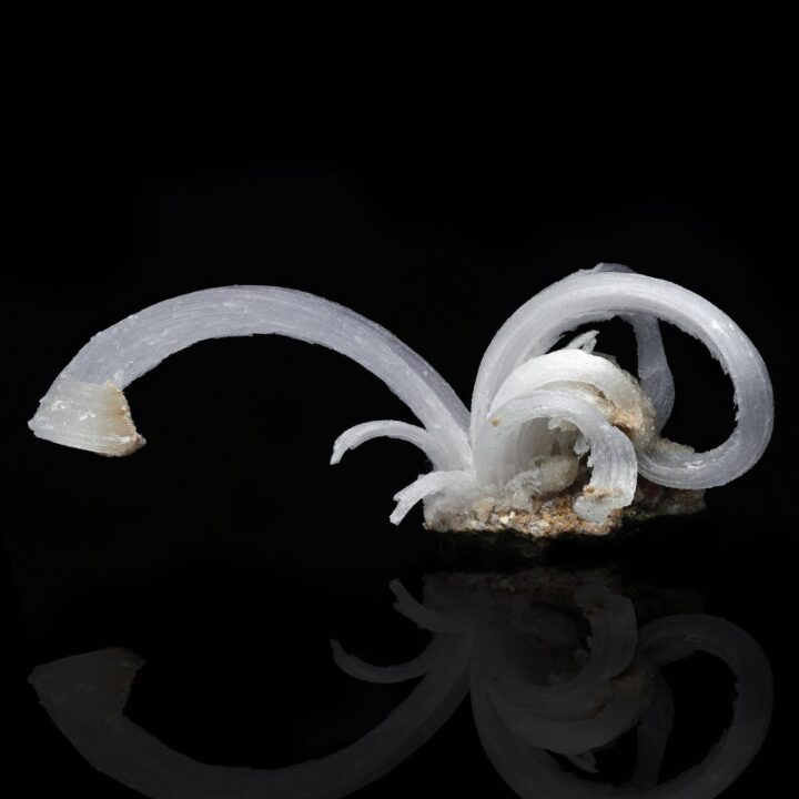 Selenite "Ram’s Horns" - Image 2