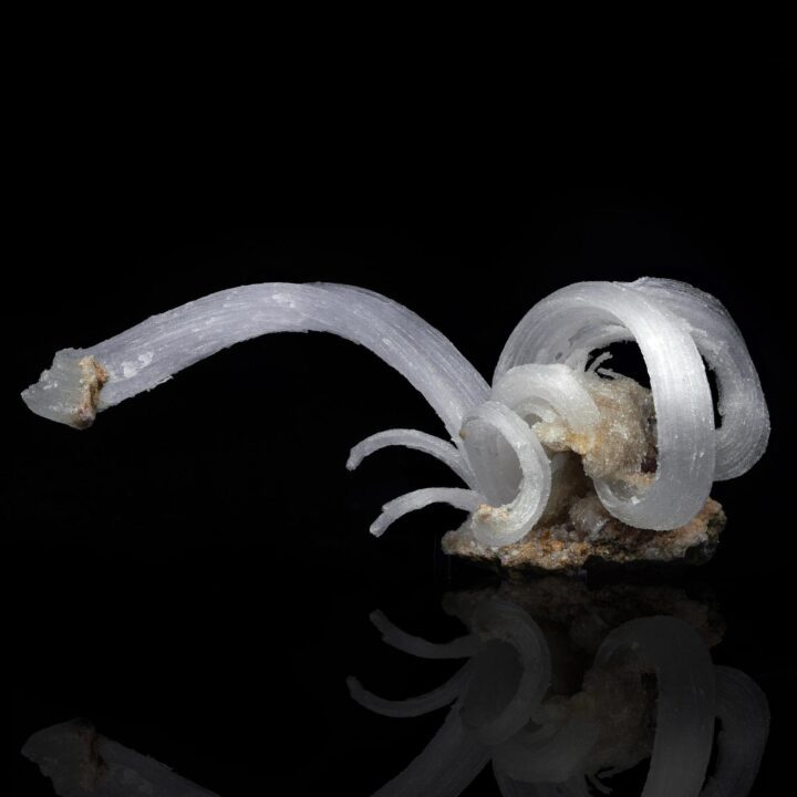 Selenite "Ram’s Horns"
