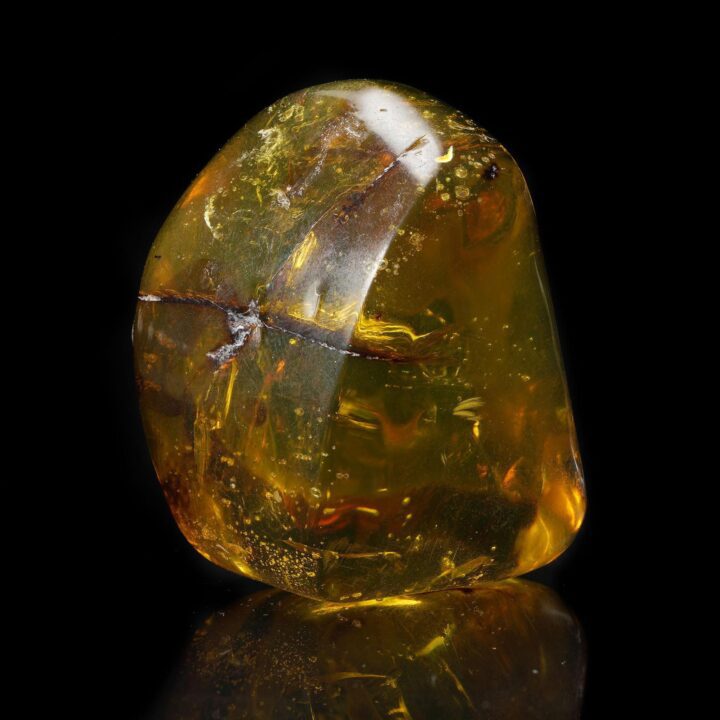 Mexican Amber with Leaf Inclusion – 26g - Image 3
