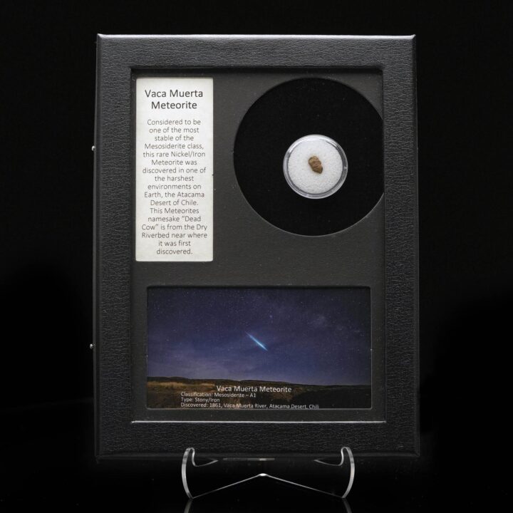 Vaca Muerta Meteorite – Rare Mesosiderite Space Rock in Collector’s Display Box