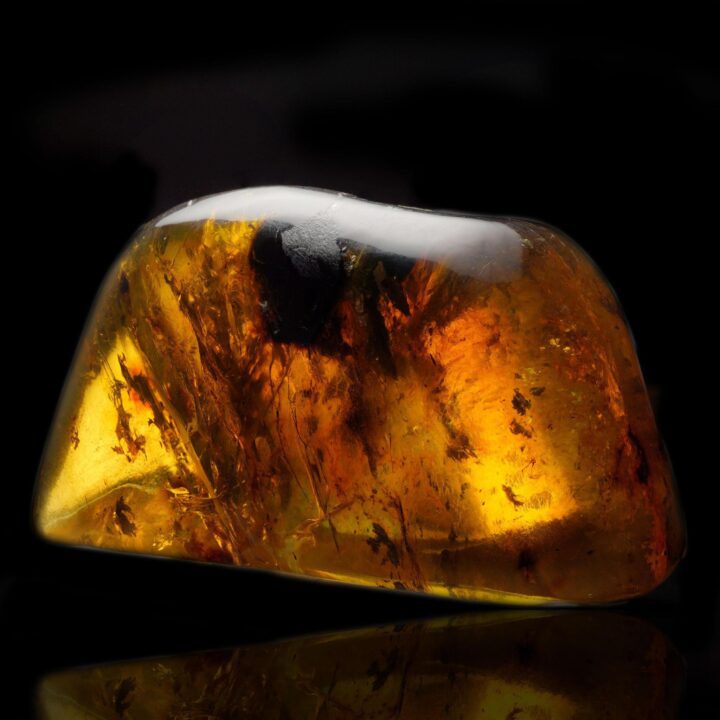 Mexican Amber – 53g - Image 3