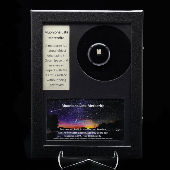 Muonionalusta Meteorite in Collector's Box