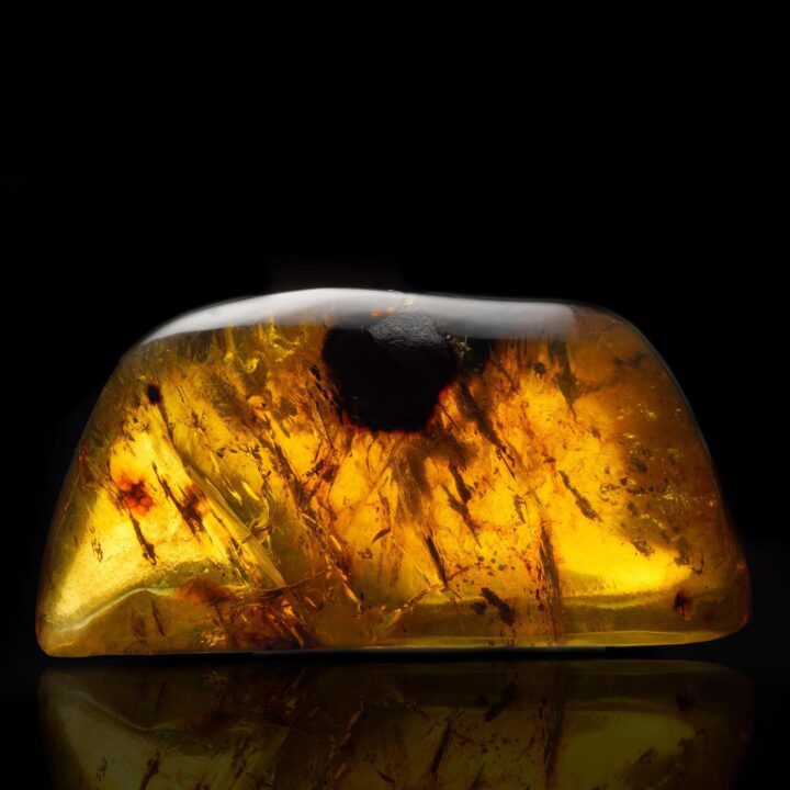 Mexican Amber – 53g