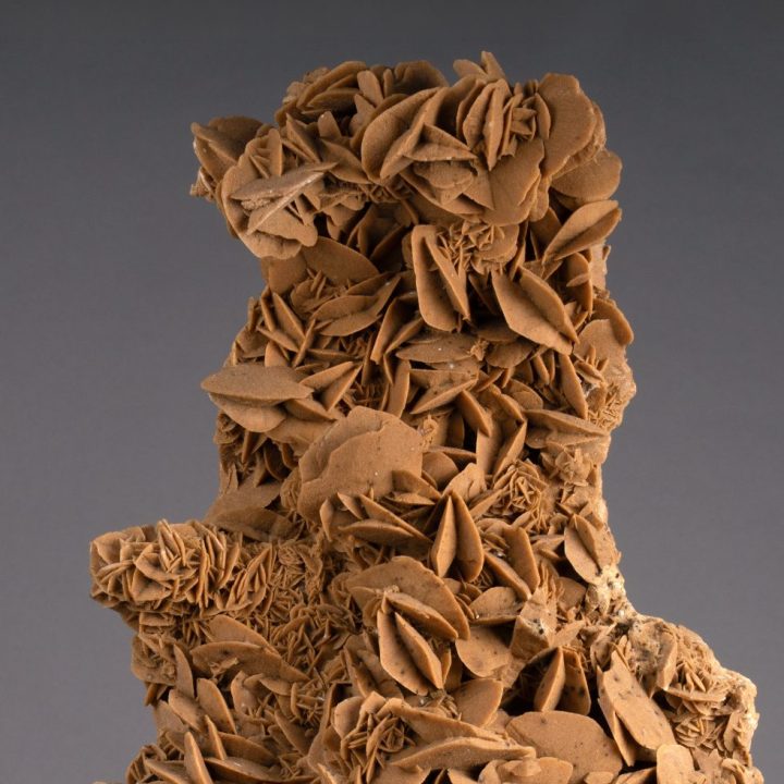 Strikingly Large Desert Rose Selenite – Natural Rosette Formation from the Sahara
