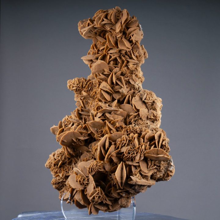 Strikingly Large Desert Rose Selenite – Natural Rosette Formation from the Sahara