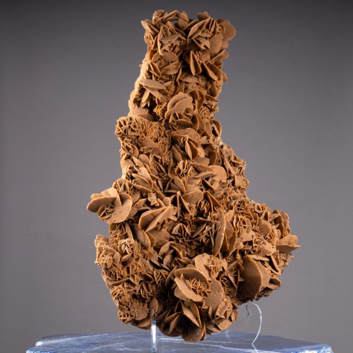 Strikingly Large Desert Rose Selenite – Natural Rosette Formation from the Sahara