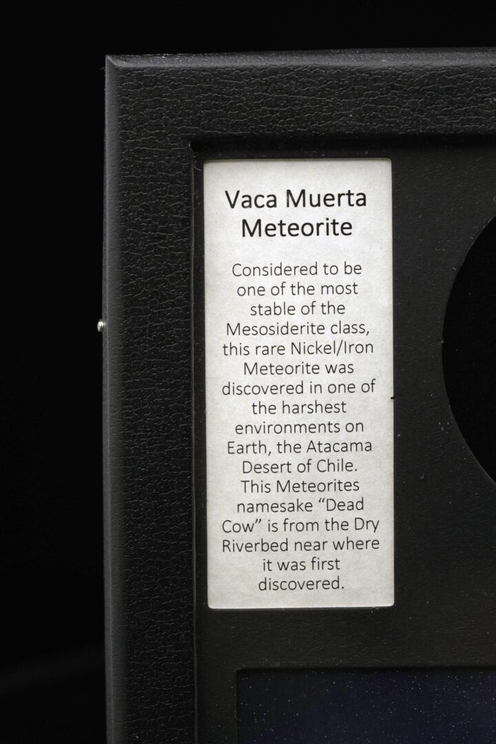Vaca Muerta Meteorite – Rare Mesosiderite Space Rock in Collector’s Display Box - Image 4