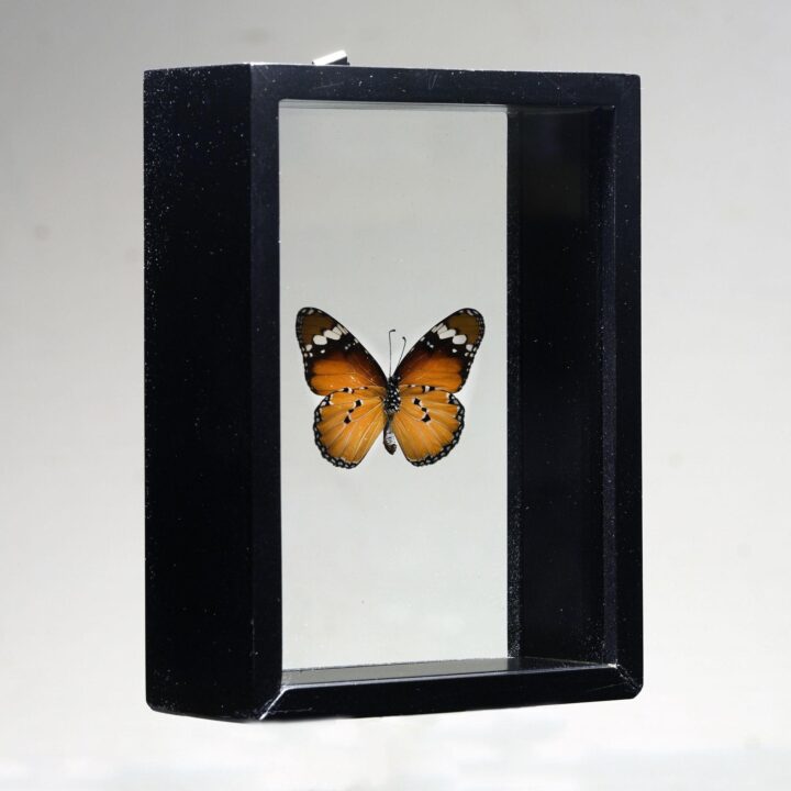 Beautiful Handmade Butterfly Box - Brown/Black - Image 3