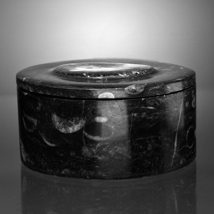 Round Ammonite and Belemnite Jewelry Box - Image 5