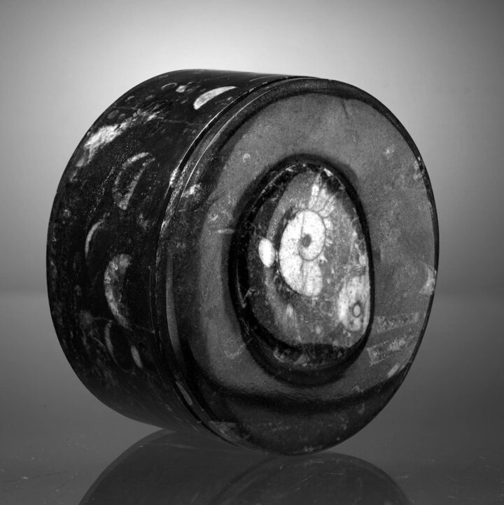 Round Ammonite and Belemnite Jewelry Box - Image 2