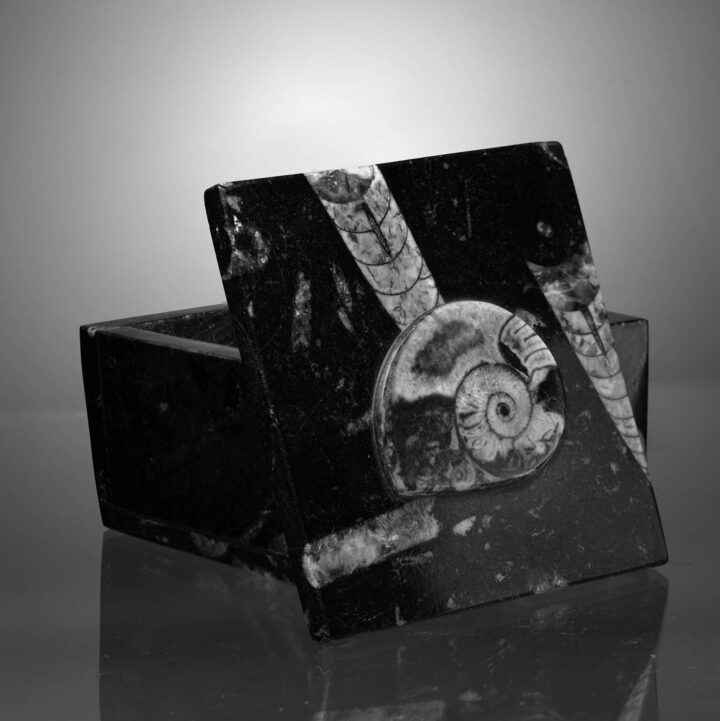 Square Ammonite and Belemnite Jewelry Box - Image 3