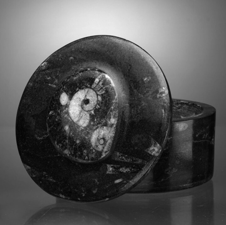 Round Ammonite and Belemnite Jewelry Box