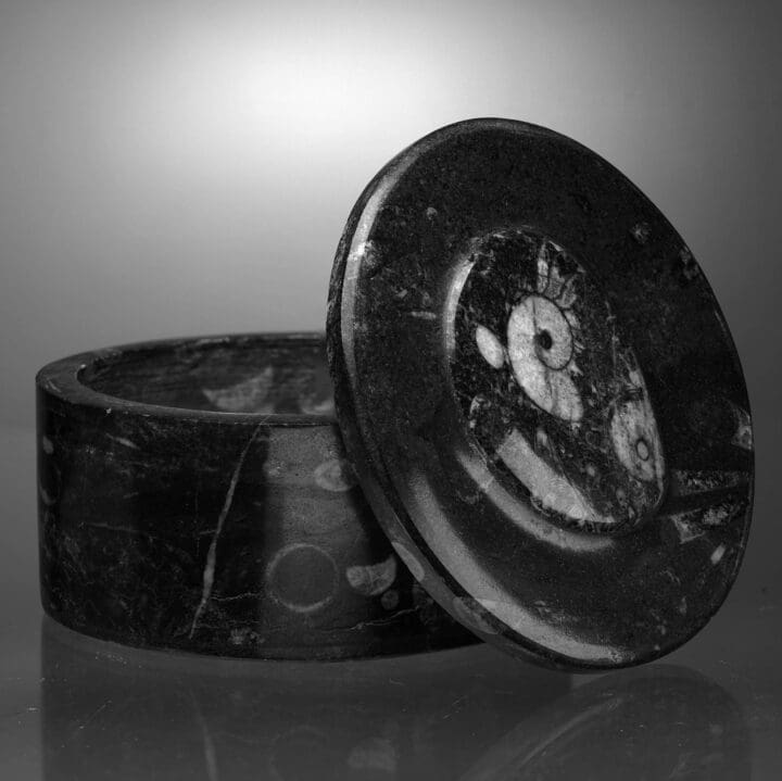 Round Ammonite and Belemnite Jewelry Box - Image 3