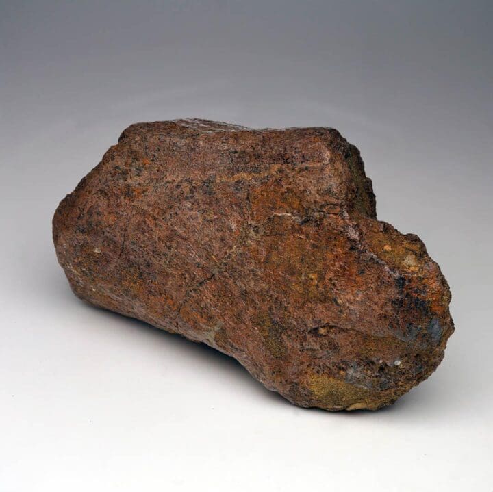 2.17 Lb. Triceratops Jaw Bone Fossil - Image 3