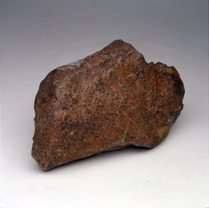 2.17 Lb. Triceratops Jaw Bone Fossil - Image 2