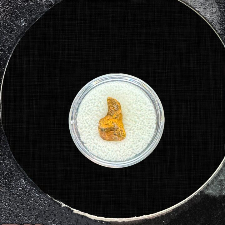 Sericho (Pallasite) Meteorite in Collector's Box - Image 3