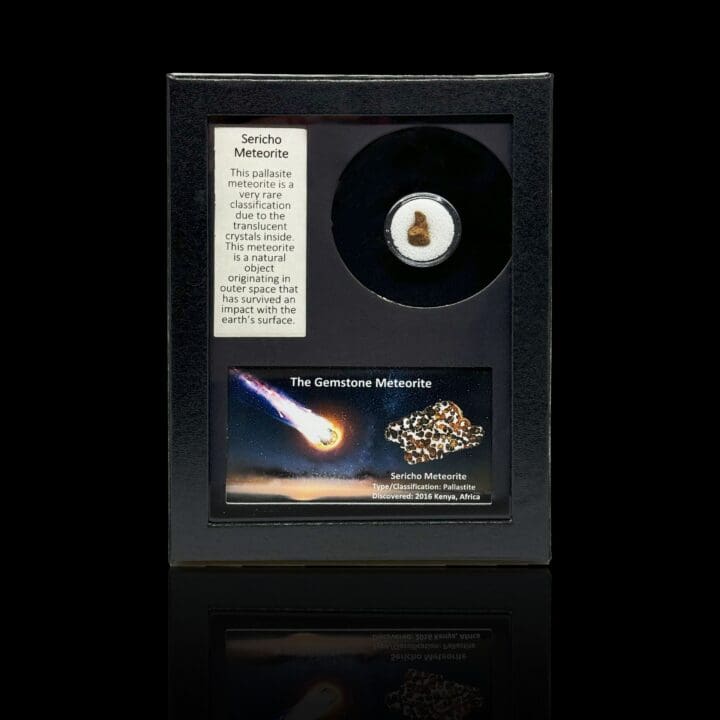 Sericho (Pallasite) Meteorite in Collector's Box - Image 6