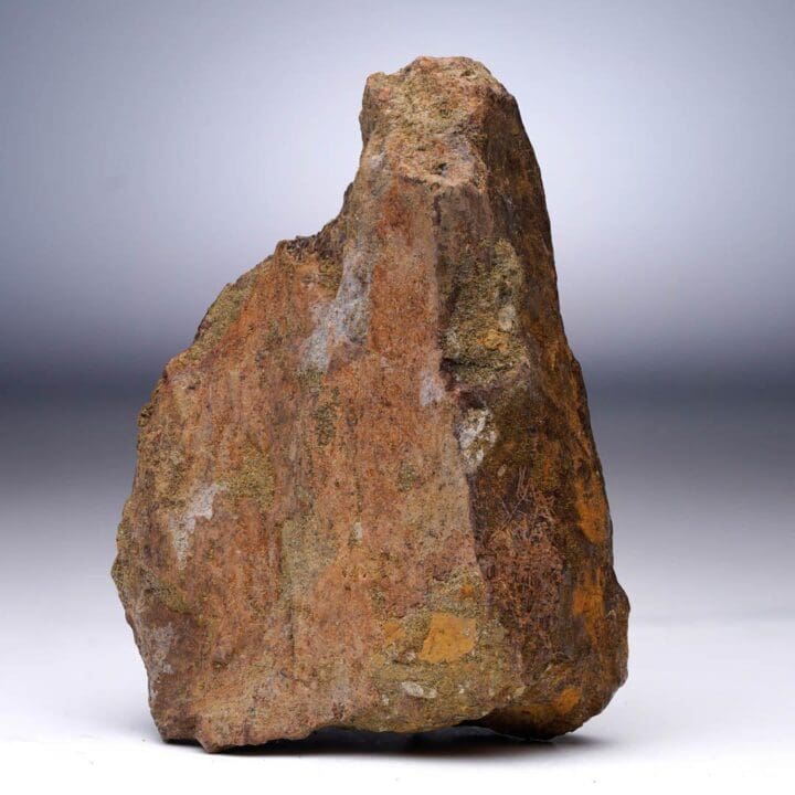T. Rex Limb Bone Fragment - Image 4
