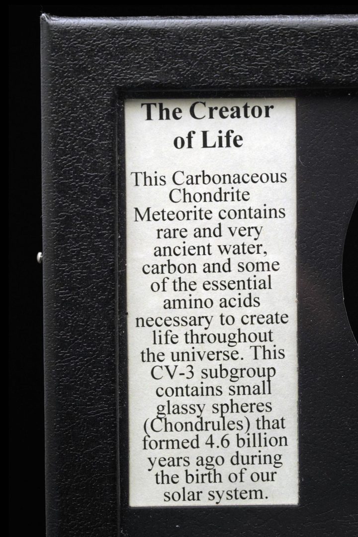 The Creator of Life Meteorite – Organic-Rich Space Rock in Collector’s Display Box - Image 4