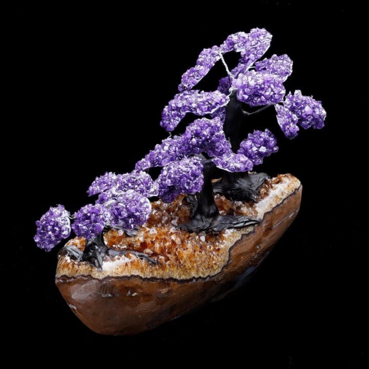 Large Amethyst Gemstone Tree on Citrine Cluster Base - Image 4