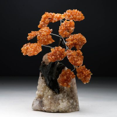 Large Citrine Gemstone Tree on Quartz Cluster