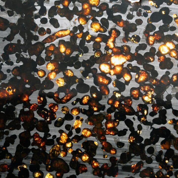 Genuine Sericho Pallasite Meteorite - Image 3