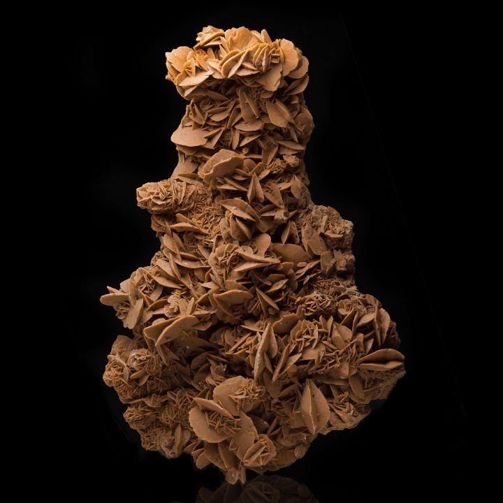 Strikingly Large Desert Rose Selenite – Natural Rosette Formation from the Sahara