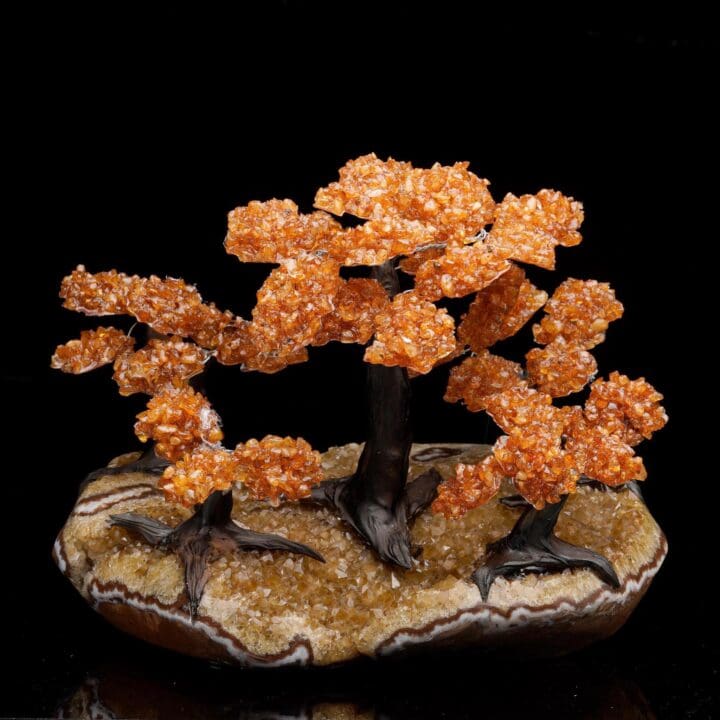 Large Citrine Gemstone Tree on Citrine Cluster Base