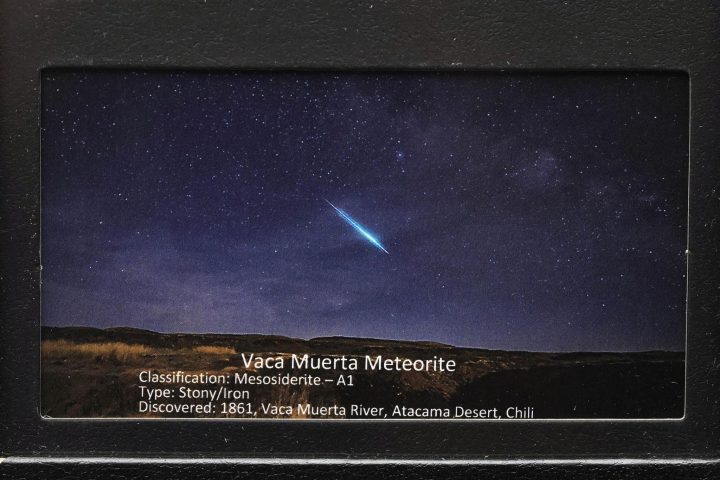 Rare Vaca Muerta Meteorite – Mesosiderite Space Rock in Collector’s Display Box - Image 3
