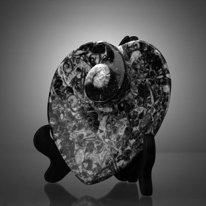 Hand-carved heart-shaped fossil dish featuring Ammonite and Belemnite fossils in dark Moroccan shale