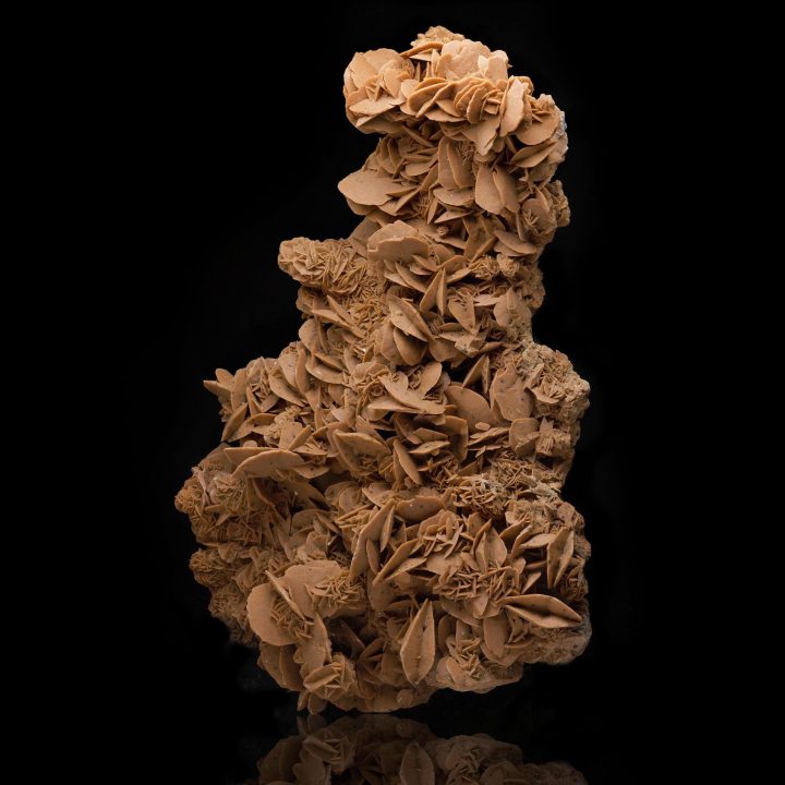 Strikingly Large Desert Rose Selenite – Natural Rosette Formation from the Sahara