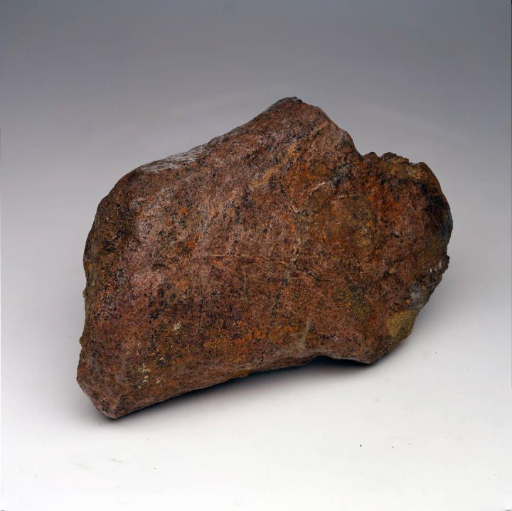 2.17 lb. Authentic Triceratops Jaw Bone Fossil - Image 2
