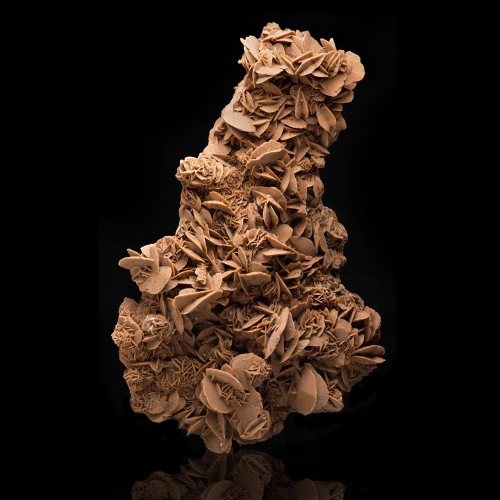 Strikingly Large Desert Rose Selenite – Natural Rosette Formation from the Sahara