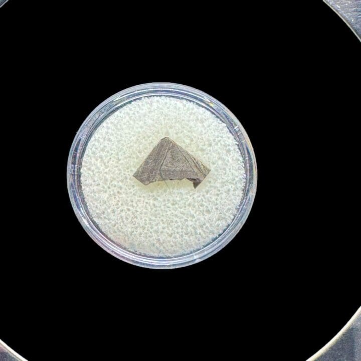 Muonionalusta Meteorite – Ancient Iron-Nickel Space Rock in Collector’s Display Box - Image 4