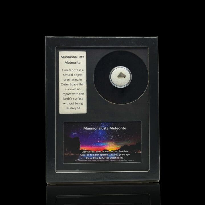 Muonionalusta Meteorite – Ancient Iron-Nickel Space Rock in Collector’s Display Box - Image 7