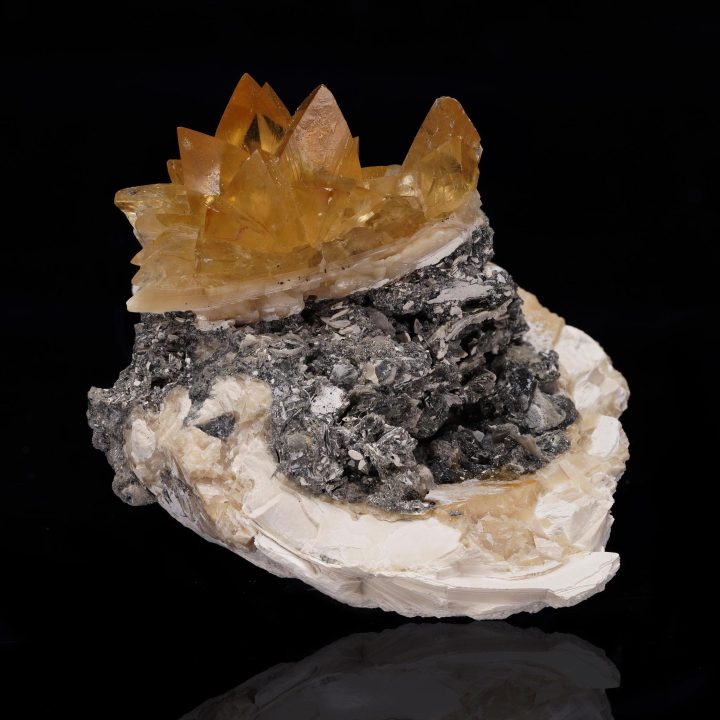 Fossilized Clam with Calcite from Florida - Image 2