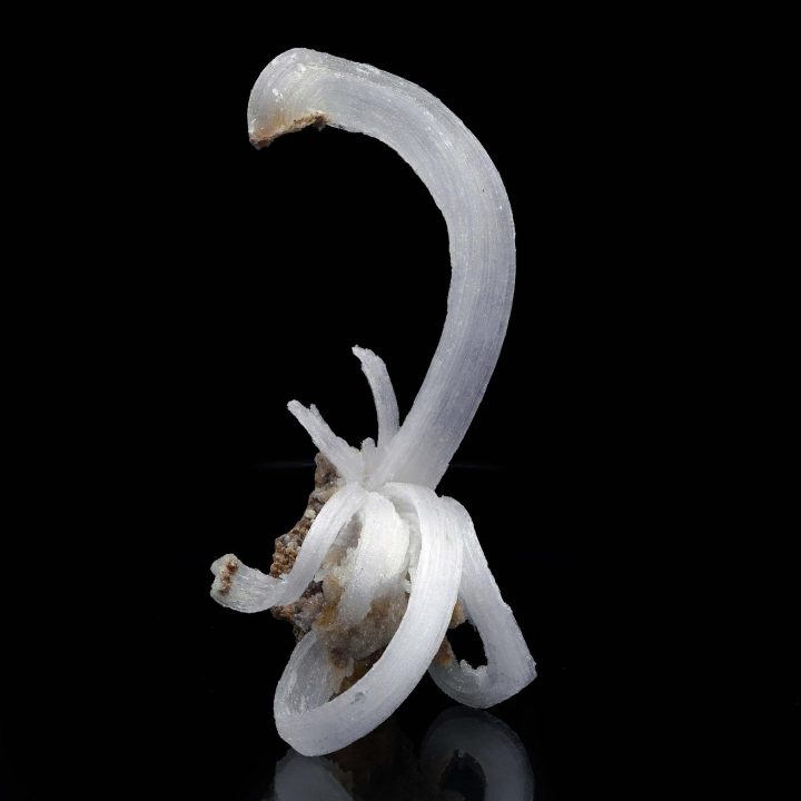 Selenite "Ram’s Horns" - Image 6