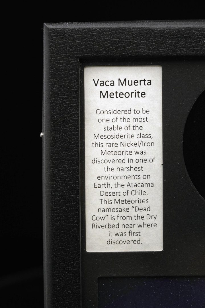 Rare Vaca Muerta Meteorite – Mesosiderite Space Rock in Collector’s Display Box - Image 4