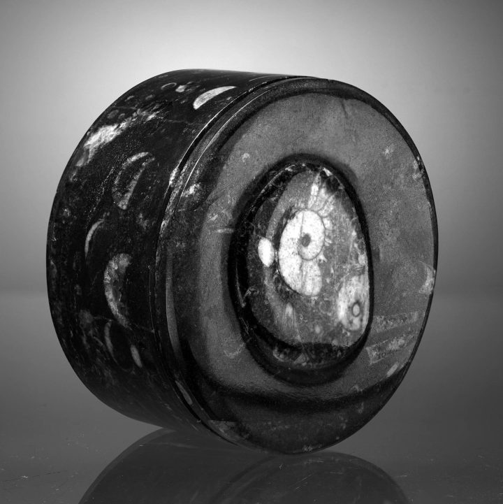 Round Ammonite and Belemnite Jewelry Box - Image 2