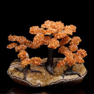 Large Citrine Gemstone Tree on Citrine Cluster Base
