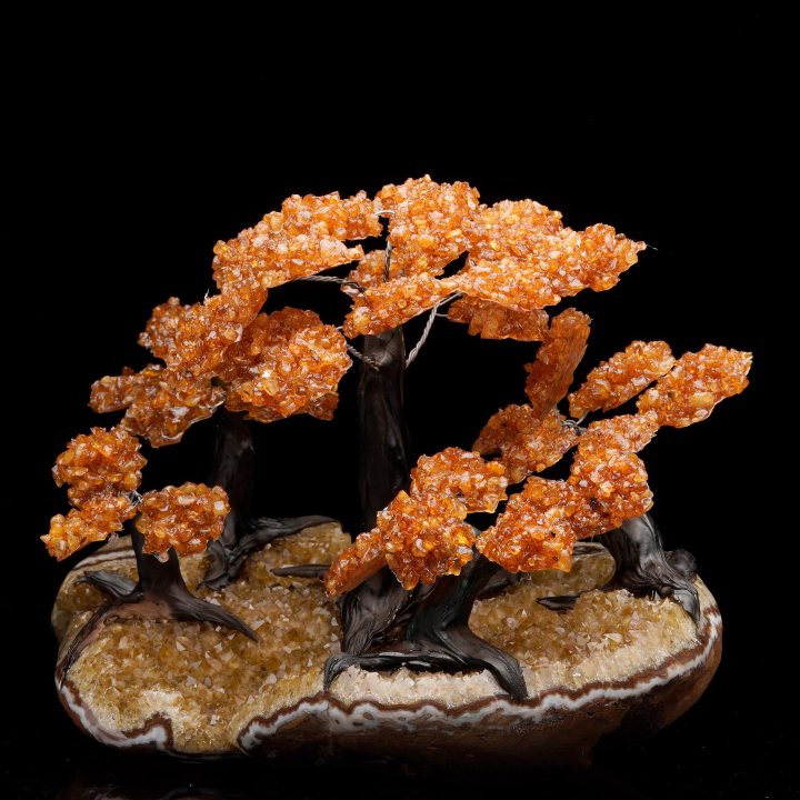 Large Citrine Gemstone Tree on Citrine Cluster Base