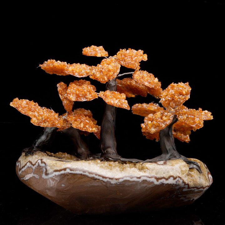 Large Citrine Gemstone Tree on Citrine Cluster Base